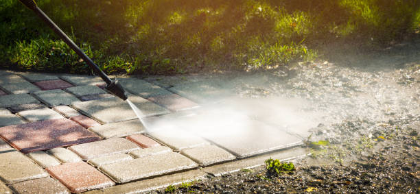 Animal Enclosure Cleaning in Kualapuu, HI